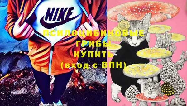 2c-b Алексеевка