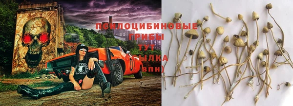 меф Горнозаводск