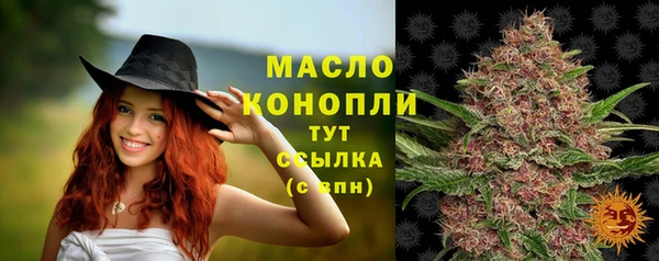 крисы Елабуга